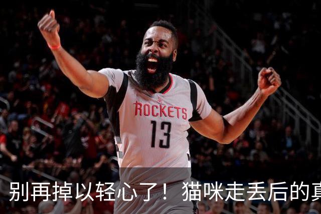 别再掉以轻心了！猫咪走丢后的真实心态，比你想象中更绝望