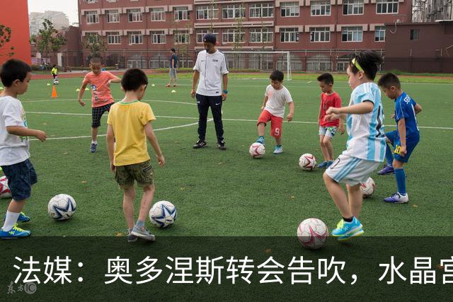 法媒：奥多涅斯转会告吹，水晶宫转攻乌迪内斯中卫索莱
